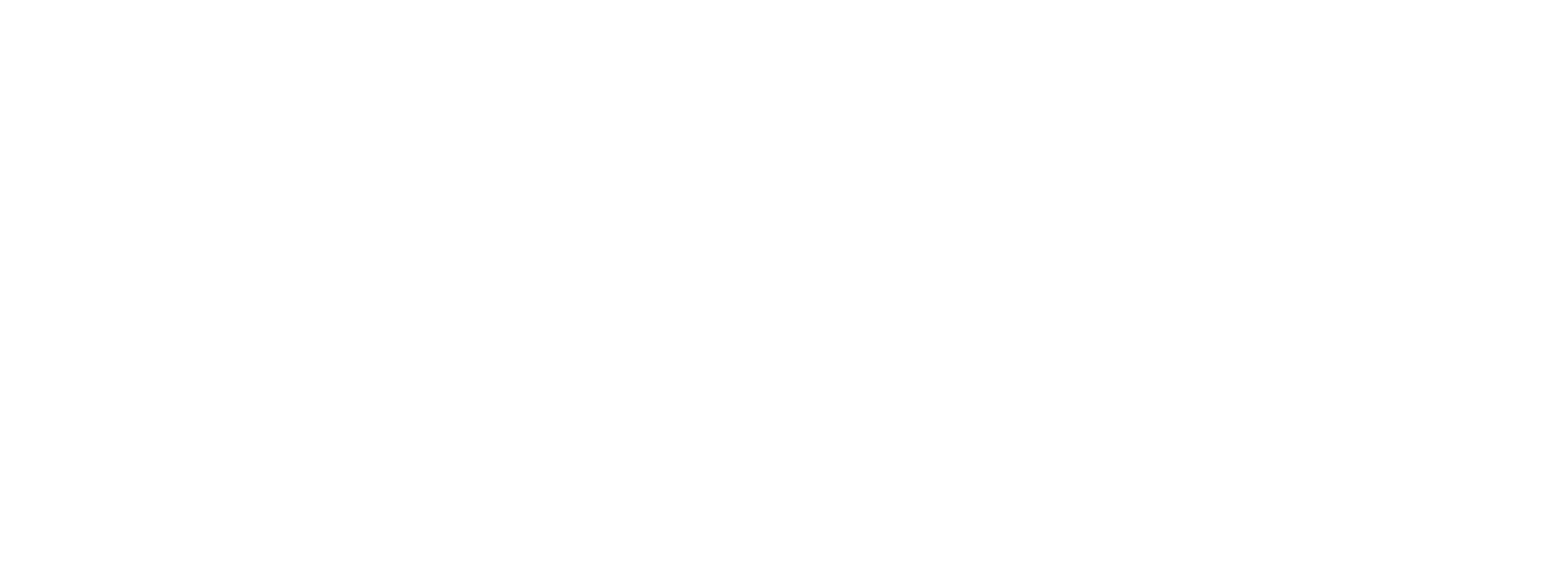 Brave Group